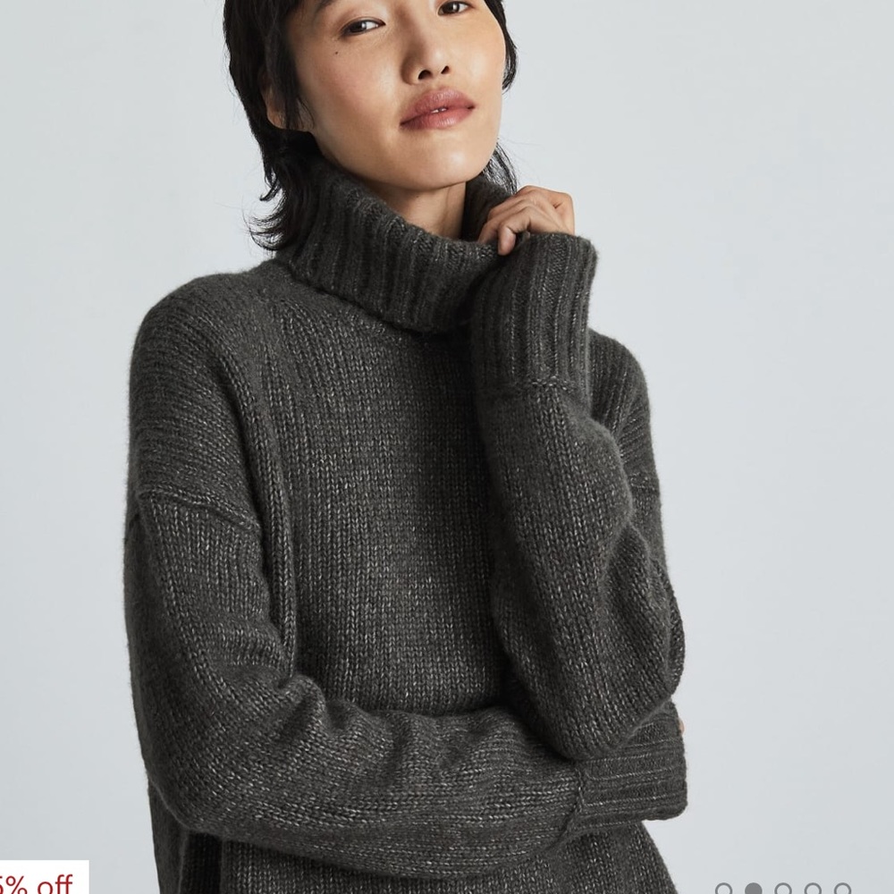 Everlane The Cloud Turtleneck
